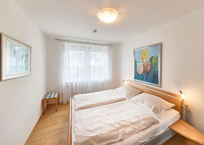 Elbsegler, 1